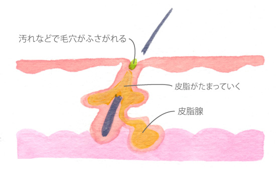 nikibi_mechanism_03